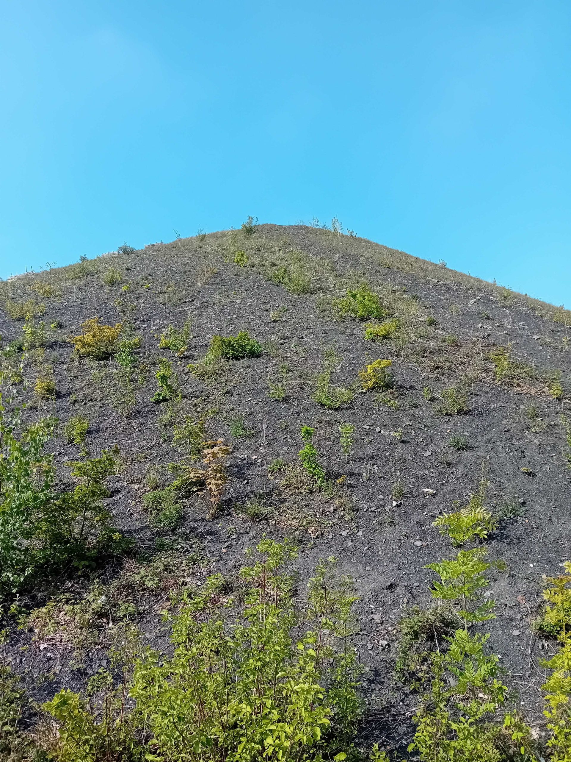terril